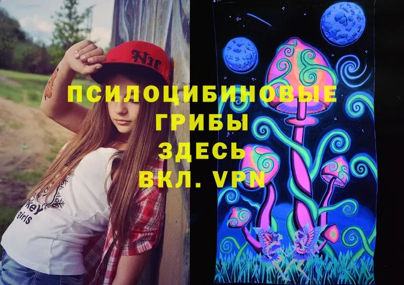 Галлюциногенные грибы Psilocybe  Бикин 