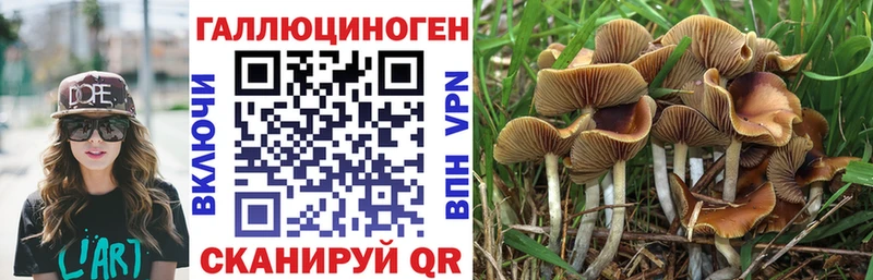 блэк спрут вход  как найти закладки  Бикин  Галлюциногенные грибы мухоморы 