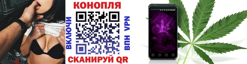даркнет сайт  Бикин  Бошки Шишки конопля 